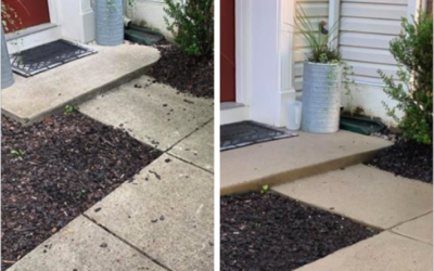 Reviving Surfaces: The Art and Science of Concrete Cleaning